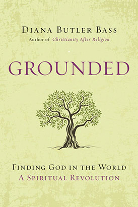 Wednesday Evening Book Study:  Grounded