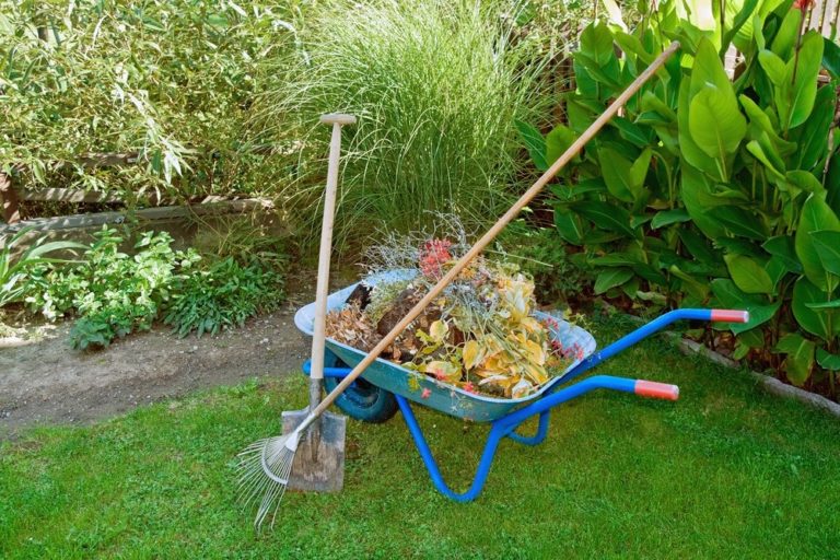 yard work wheelbarrow