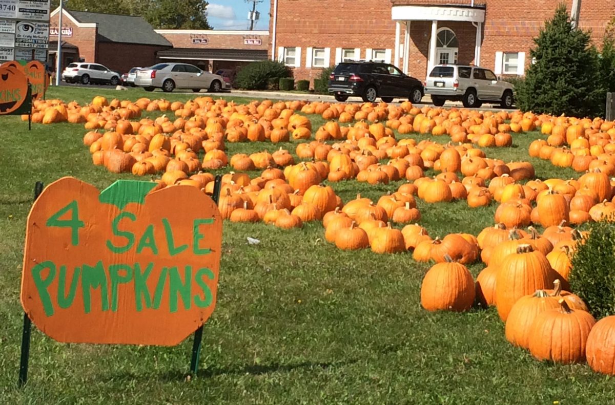 The 2022 Pumpkin Sale